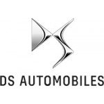 Buy DS Diamond Car Mats UK