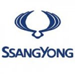 Buy Ssangyong Diamond Car Mats UK